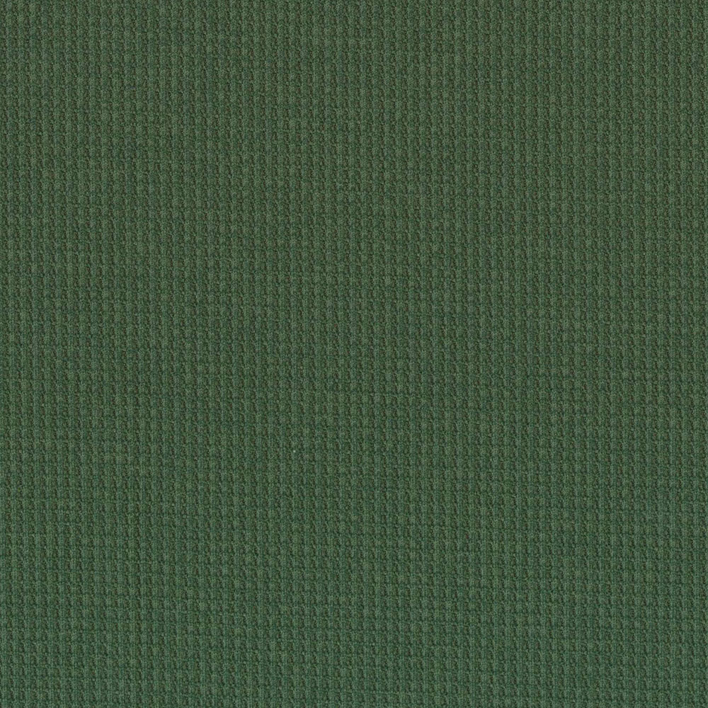 pascal_dg